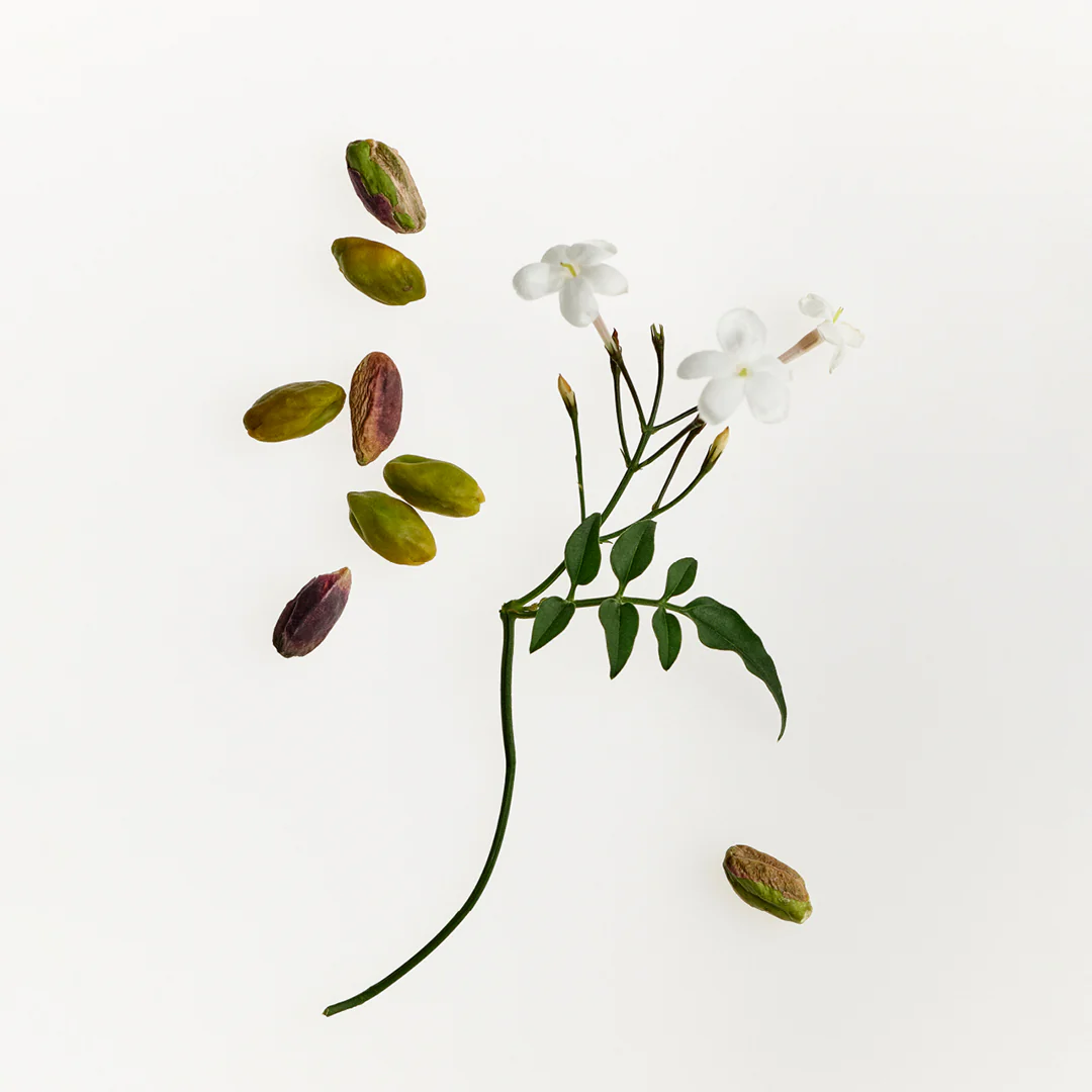 Fresh Pistachio Laundry Shampoo + Conditioner - Image 4
