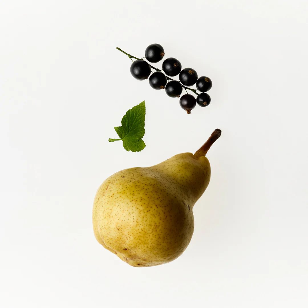 Fresh Pistachio Laundry Shampoo + Conditioner - Image 6